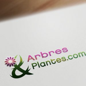 Création logo arbres & plantes